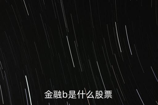 網(wǎng)金b是什么股，金融b是什么股票
