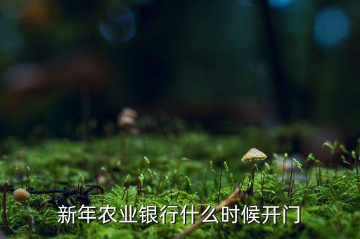 新農(nóng)銀行什么時候開業(yè)，中國農(nóng)業(yè)銀行什么時候開門