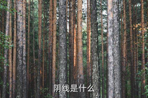 股票陰線是什么哪個，股市陰線是什么意思
