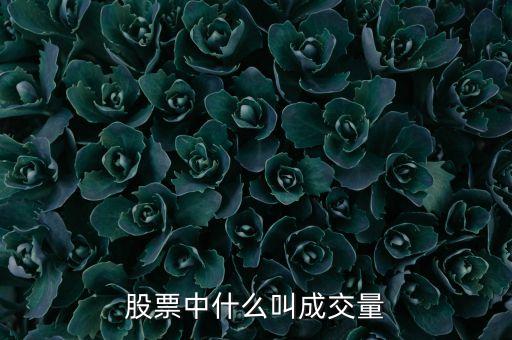 股票什么是成交量，什么是成交量