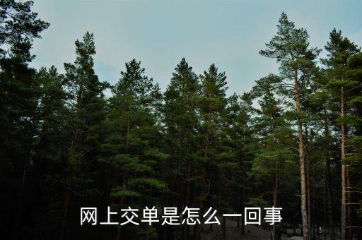 什么叫電子交單，網(wǎng)上交單是怎么一回事