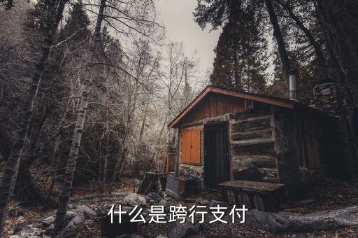 什么是跨行清算，什么叫跨行