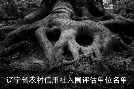 遼寧省農村信用社入圍評估單位名單
