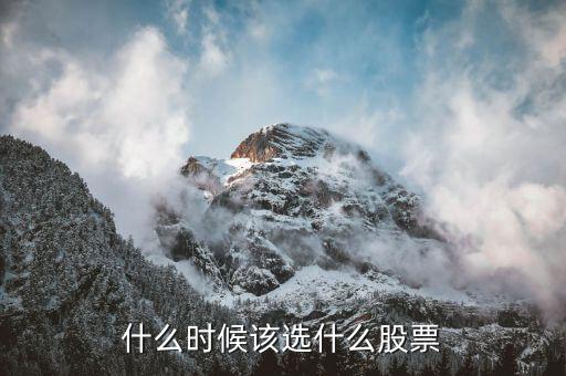 什么時候該選什么股票