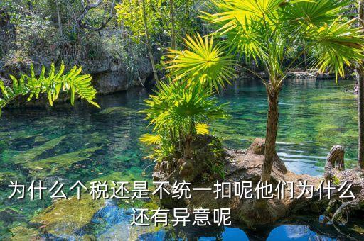 個稅為什么盲區(qū)，為什么個稅還是不統(tǒng)一扣呢他們?yōu)槭裁催€有異意呢