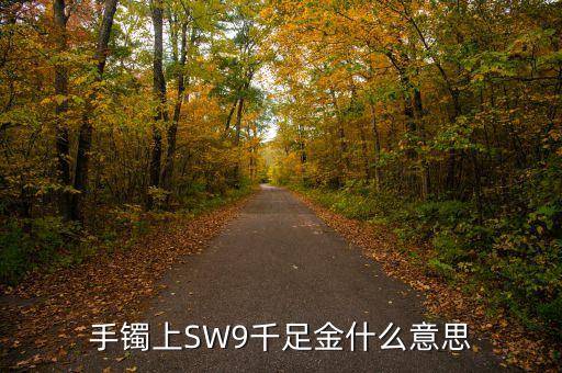 手鐲上SW9千足金什么意思