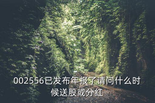 深圳能源什么時候送股，深圳能源什么時候送股