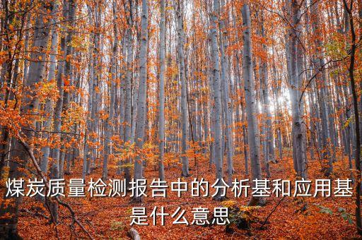 分析基什么意思，煤炭檢測報告中的QQT和S是什么意思