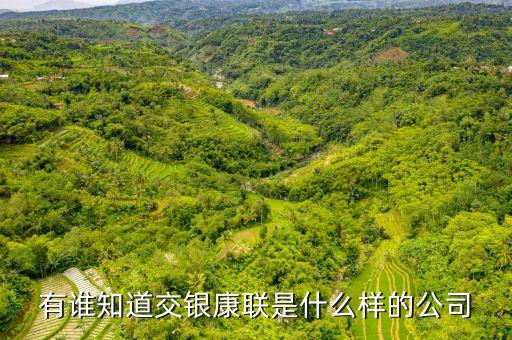 交銀康聯(lián)是什么公司，有誰(shuí)知道交銀康聯(lián)是什么樣的公司