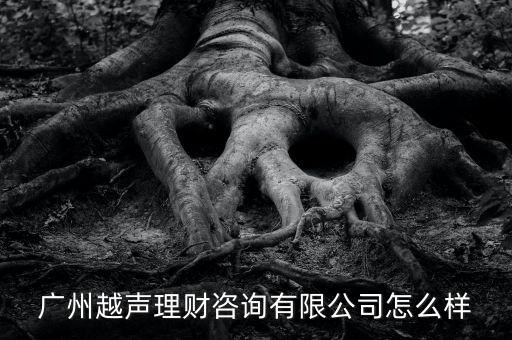 廣州越聲理財(cái)咨詢(xún)有限公司怎么樣
