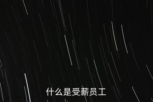 什么是受薪董事，受薪自雇的具體解釋是什么