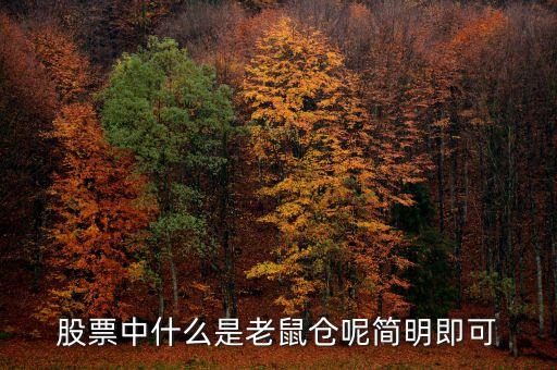 股票中什么是老鼠倉(cāng)呢簡(jiǎn)明即可