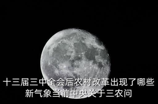 中央對農(nóng)村大亂有什么見意，解決中國的三農(nóng)有何意見