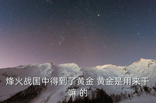 打仗黃金起到什么作用，烽火戰(zhàn)國中得到了黃金 黃金是用來干嘛 的