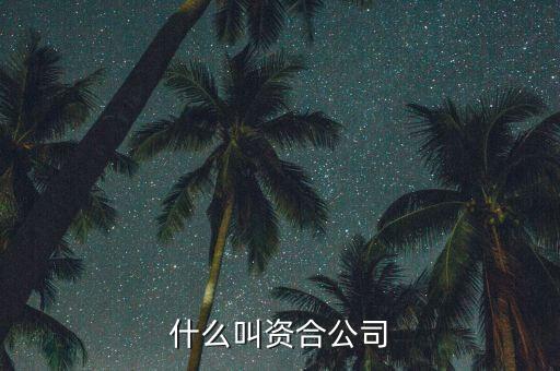 什么叫資本合作，政府和社會(huì)資本合作 什么是資本層面合作