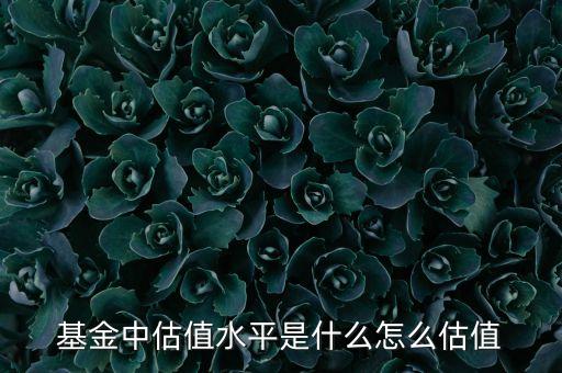 什么是估值水平，什么是取值水平