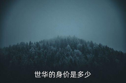世華幣是什么，世華的身價是多少