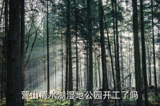 岱湖濕地什么開(kāi)工，營(yíng)山清水湖濕地公園開(kāi)工了嗎