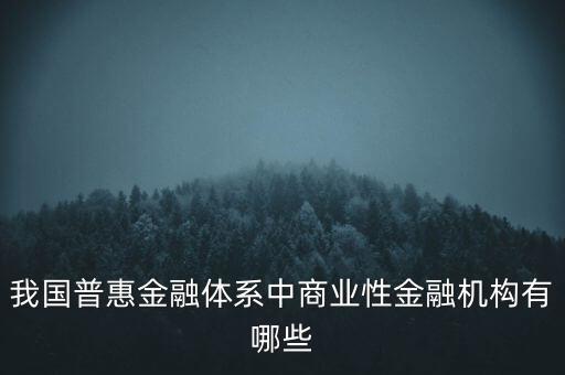 我國普惠金融體系中商業(yè)性金融機(jī)構(gòu)有哪些