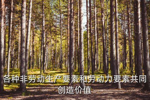 各種非勞動生產(chǎn)要素和勞動力要素共同創(chuàng)造價值