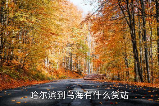什么是鐵路白貨，哈爾濱到烏海有什么貨站