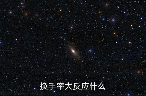 換手率大反應什么