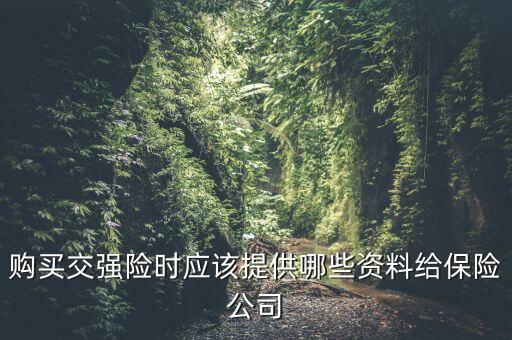 購(gòu)買交強(qiáng)險(xiǎn)時(shí)應(yīng)該提供哪些資料給保險(xiǎn)公司