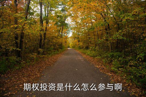 期權(quán)投資是什么，什么是期權(quán)投資