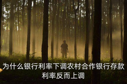 為什么銀行利率下調(diào)農(nóng)村合作銀行存款利率反而上調(diào)