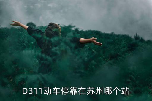 d311為什么列車停運，D311動車?？吭谔K州哪個站