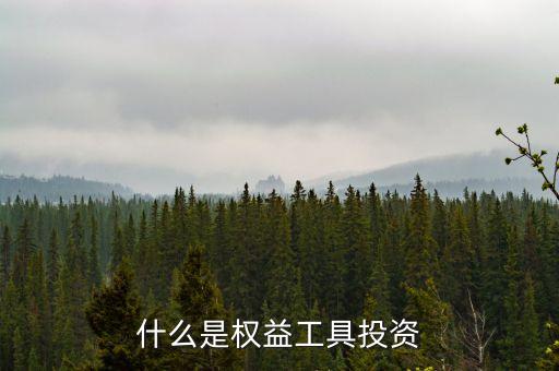 什么是權益工具投資