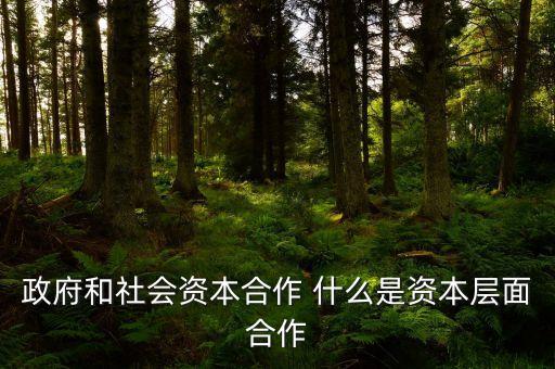 政府和社會資本合作 什么是資本層面合作