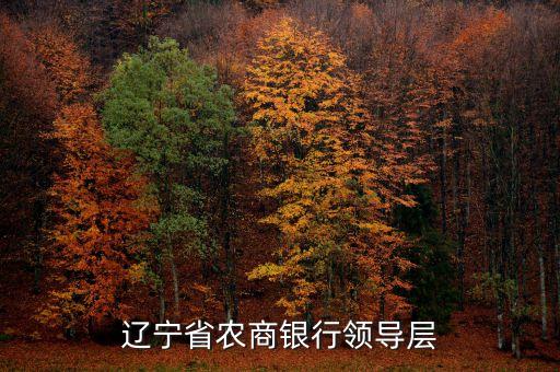 遼寧什么信用聯(lián)社理事長名單，遼寧省農(nóng)村信用社聯(lián)合社現(xiàn)在叫什么名