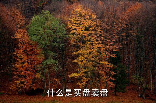 什么是買盤和賣盤，什么是買盤賣盤
