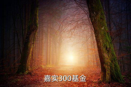 嘉實(shí)300是什么基金，嘉實(shí)300是什么類型的基金