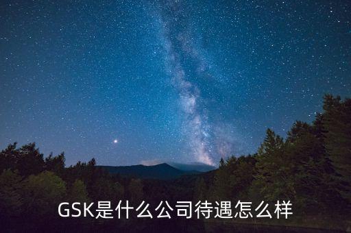 gsk公司的價值觀是什么，GSK是什么意思