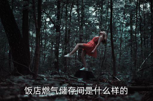 什么叫燃氣間，什么叫煤氣層
