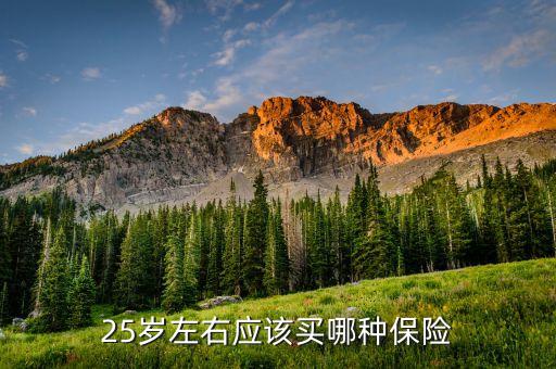 25歲買(mǎi)什么保險(xiǎn)好，25歲買(mǎi)什么保險(xiǎn)最劃算