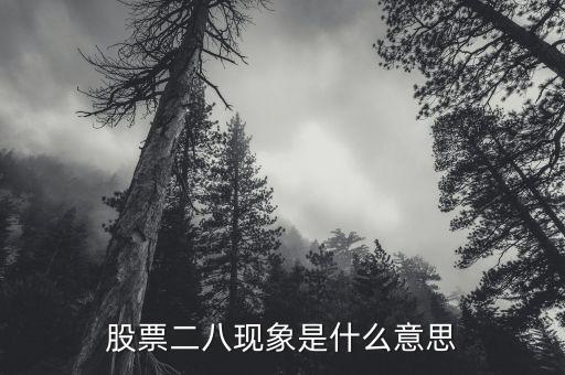 股票二八現(xiàn)象是什么意思