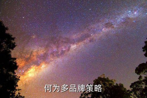 什么是多策略，何為多品牌策略