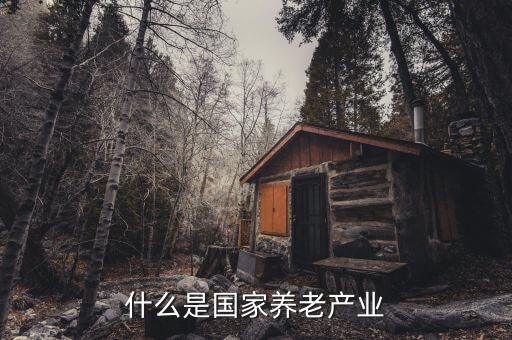 什么是養(yǎng)老產(chǎn)業(yè)，養(yǎng)老產(chǎn)業(yè)有哪些