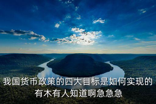 我國貨幣政策的四大目標(biāo)是如何實(shí)現(xiàn)的 有木有人知道啊急急急