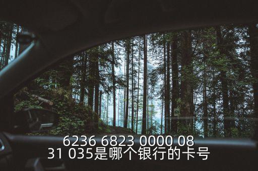 6236開頭是什么銀行，6226 2001 0320 1654是什么銀行