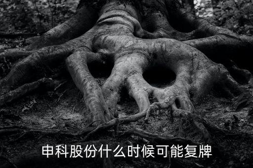 300097股什么時候復(fù)牌，申科股份什么時候可能復(fù)牌