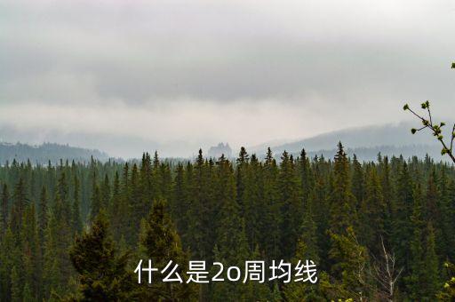 什么是20周均線，想問一下股票大盤20周均線是什么點位