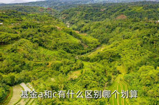 c基金是什么，什么叫VC基金