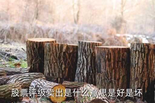 股票沽售評級什么意思，請問什么是惜售什么是沽售
