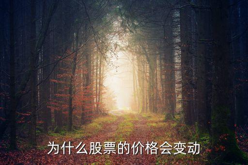 股票價(jià)格為什么會(huì)波動(dòng)，為什么股票的價(jià)格會(huì)有變動(dòng)