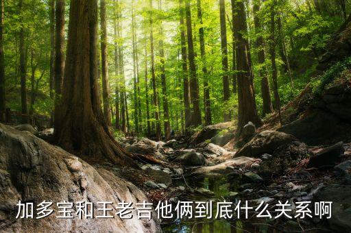 過期加多寶可以干什么，為什么我的QQ秀會變成王老吉的廣告