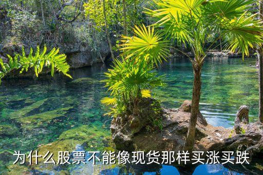 中國股市為什么不能買跌，股票不是可以先賣后買嗎這不是買跌嗎那為什么別人都說不能買